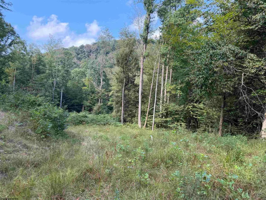 Lot 11 Copper Head Road, Terra Alta, WV 26764 - #2