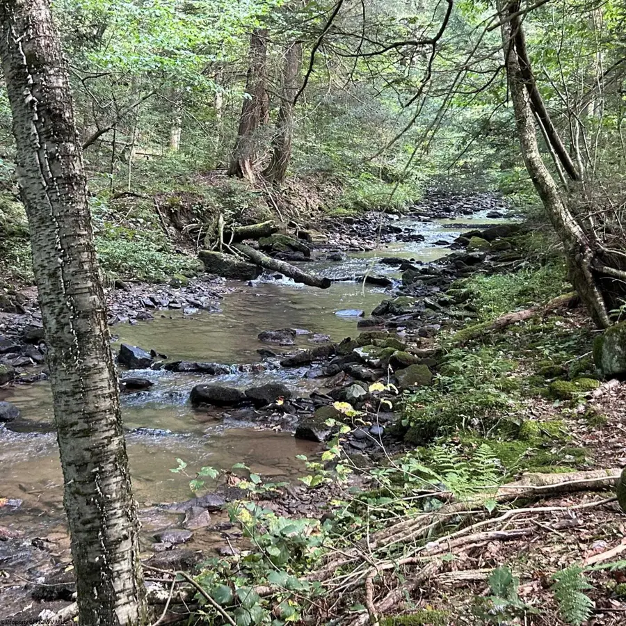 Lot 12 Copper Head Road, Terra Alta, WV 26764 - #2