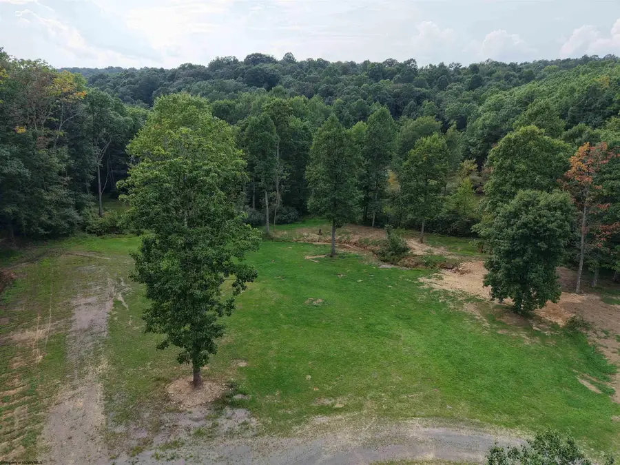 1702 Snake Hill Road, Masontown, WV 26542 - #3