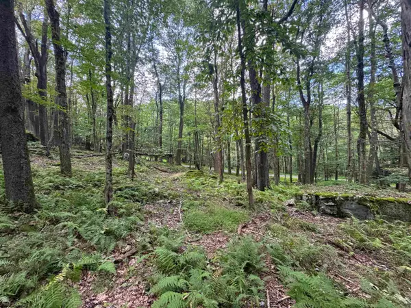 Lots 65 & 66 Gentian Court, Terra Alta, WV 26764