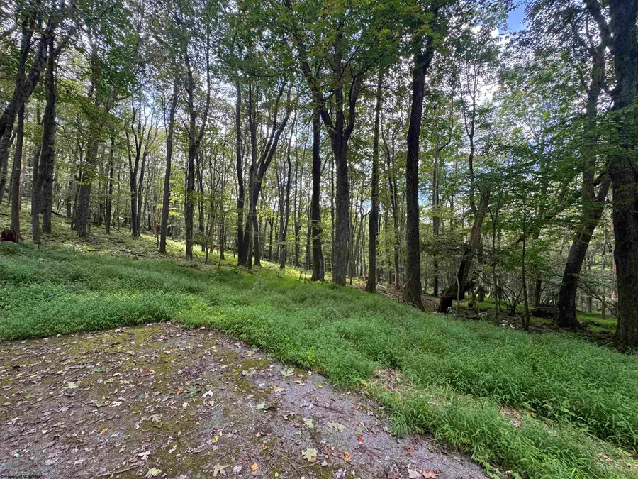 Lots 65 & 66 Gentian Court, Terra Alta, WV 26764 - #3