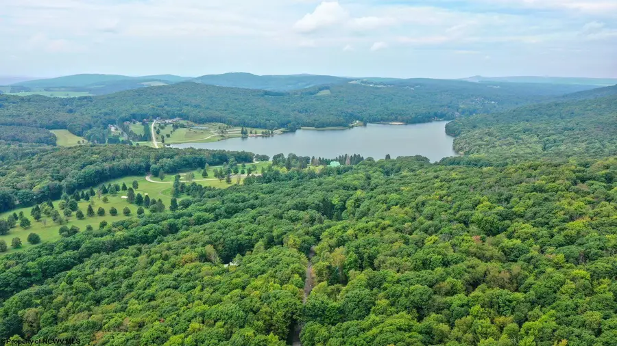 264 Primrose Lane, Terra Alta, WV 26764 - #3