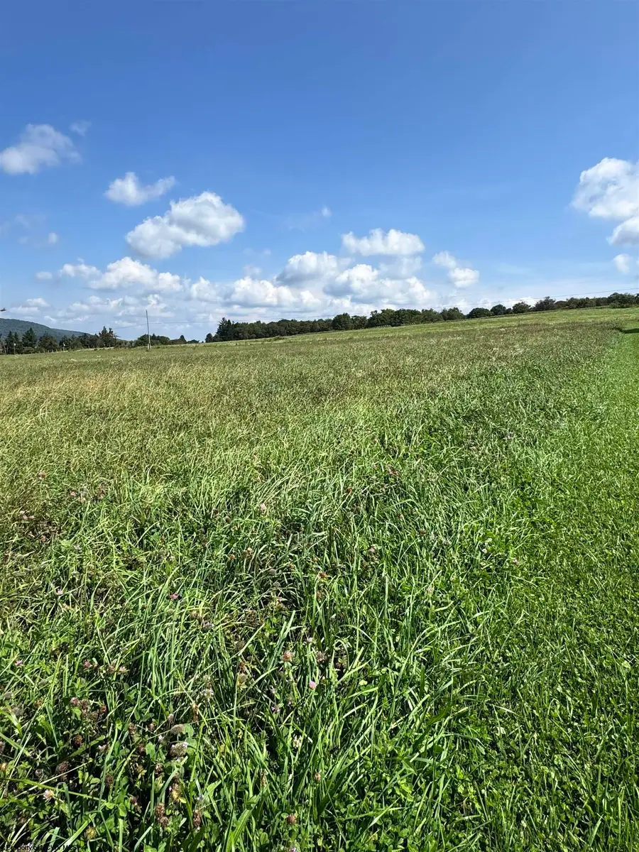 TBD Stemple Ridge Road, Aurora, WV 26705 - #3
