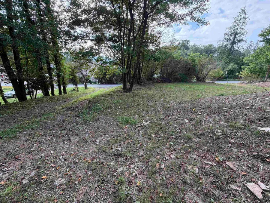 12 PAUL Street, Elkins, WV 26241 - #3