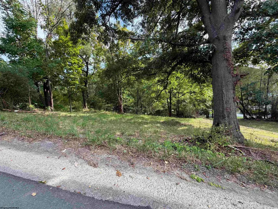TBD HOWELL Street, Elkins, WV 26241 - #2