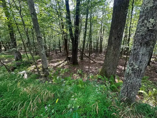 51 Beebalm Court, Terra Alta, WV 26764