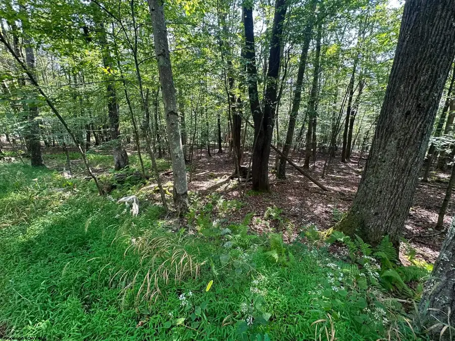 51 Beebalm Court, Terra Alta, WV 26764 - #2
