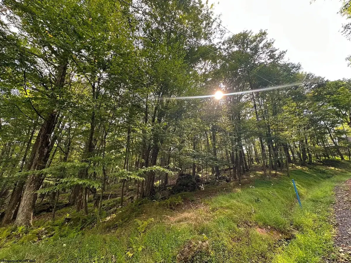 Lots 53/54 Goldenrod Drive, Terra Alta, WV 26764 - #1
