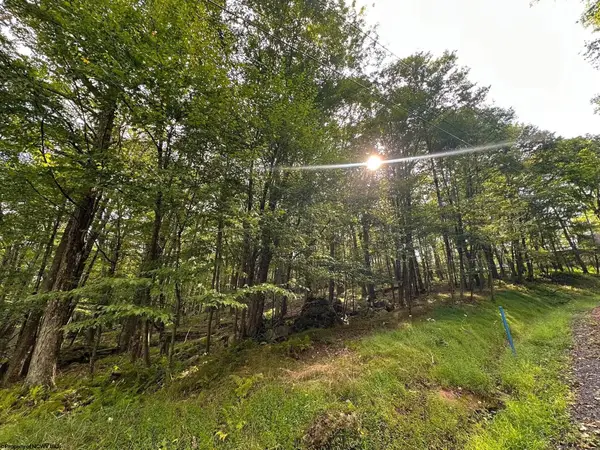 Lots 53/54 Goldenrod Drive, Terra Alta, WV 26764