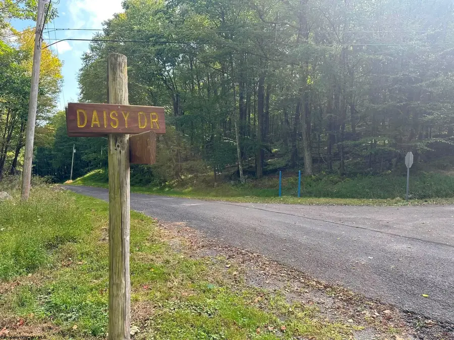 Lots 53/54 Goldenrod Drive, Terra Alta, WV 26764 - #2