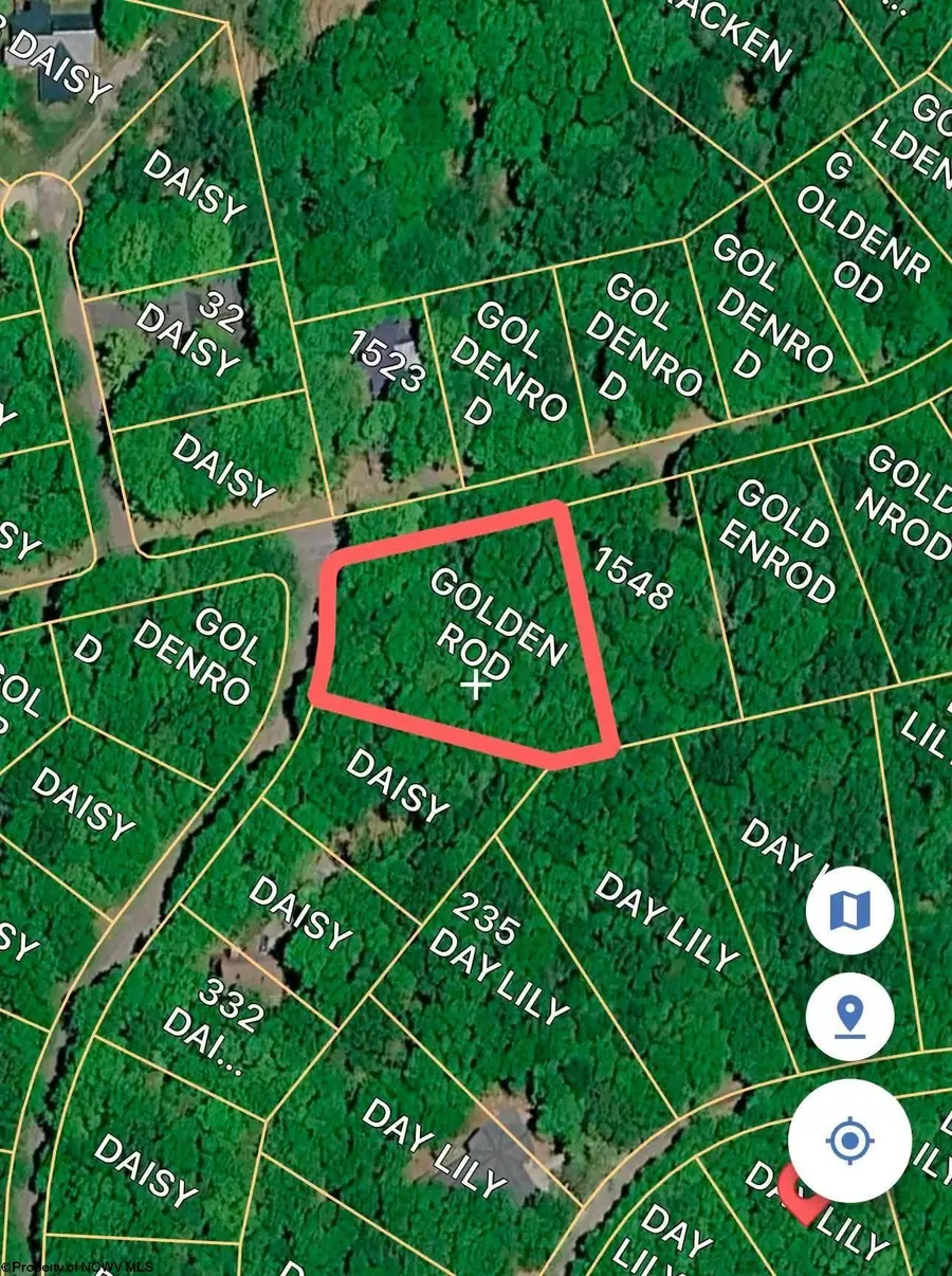 Lots 53/54 Goldenrod Drive, Terra Alta, WV 26764 - #3