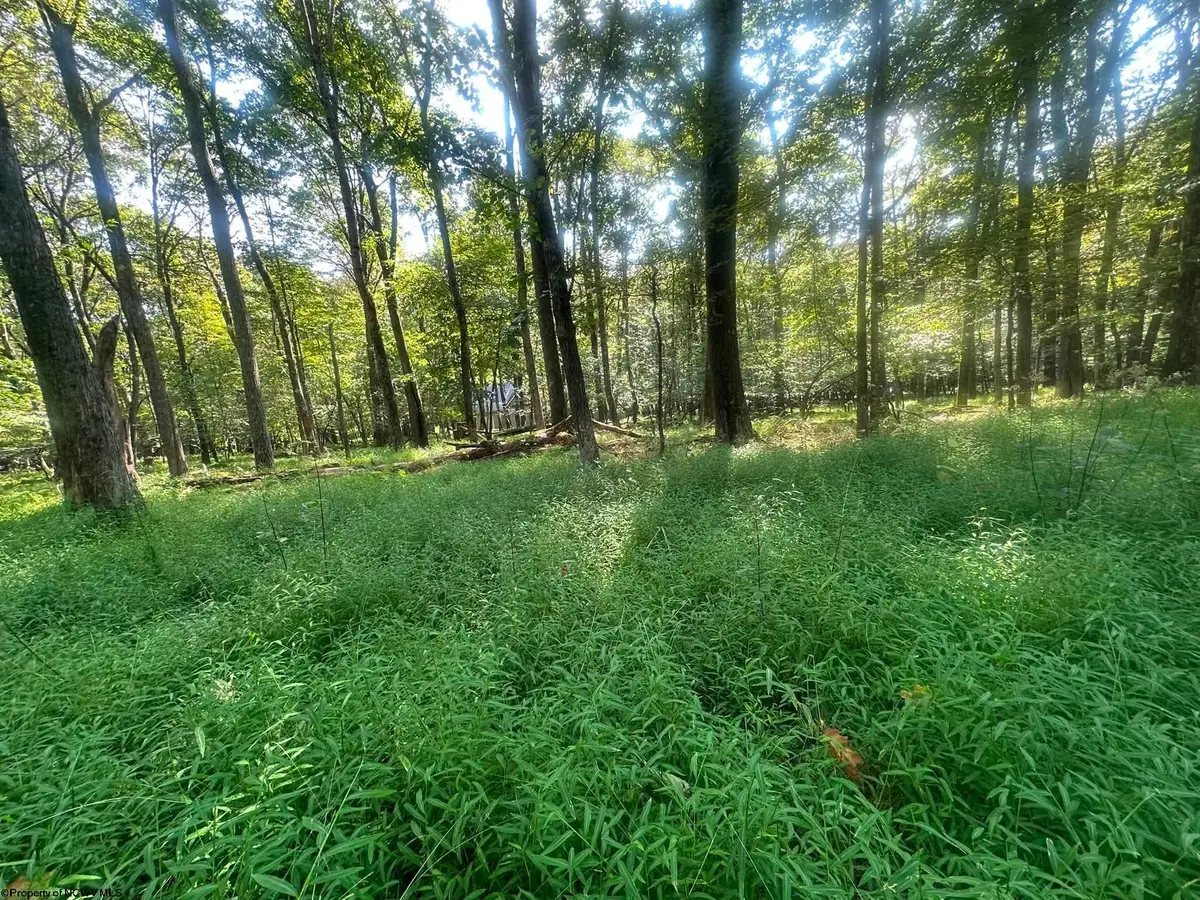 Lot 163 Anemone Lane, Terra Alta, WV 26764 - #1