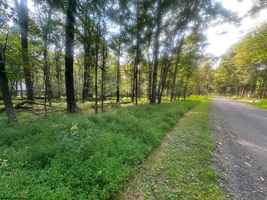 Lot 163 Anemone Lane, Terra Alta, WV 26764 - #2