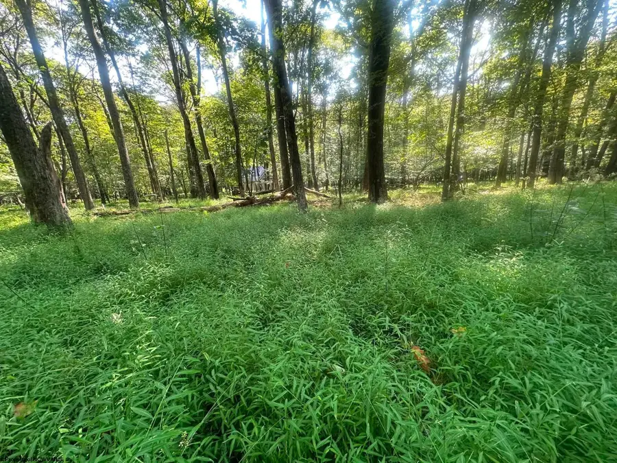 Lot 163 Anemone Lane, Terra Alta, WV 26764 - #3