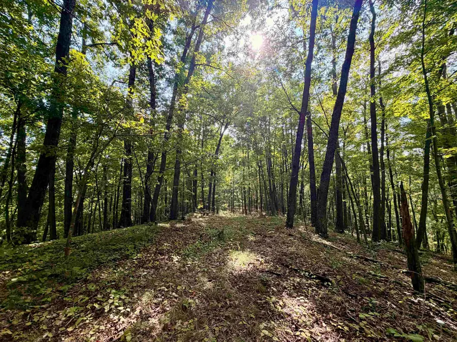 TBD Elderberry Road, Coxs Mills, WV 26349 - #3