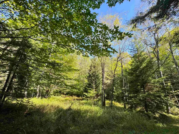 16 Black Bear Trail, Davis, WV 26260