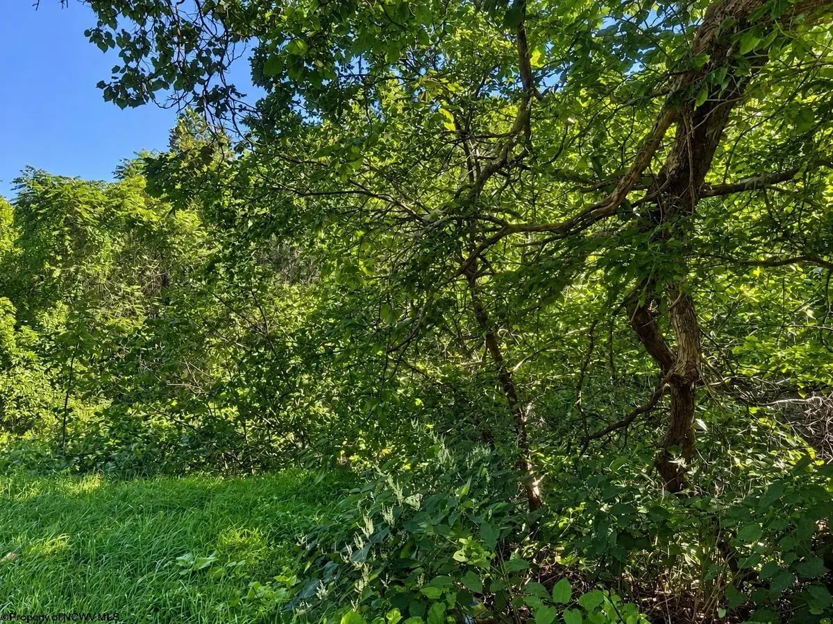 681 KNOTTSVILLE Road, Grafton, WV 26354 - #1