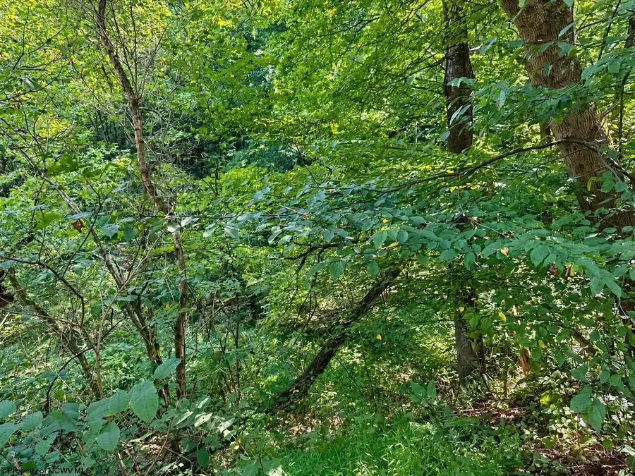 681 KNOTTSVILLE Road, Grafton, WV 26354 - #3