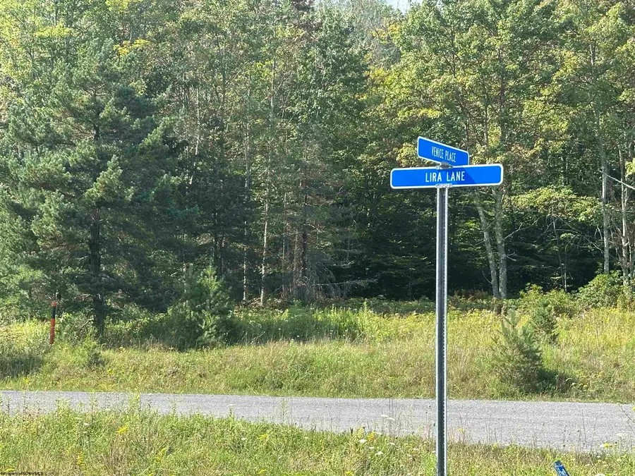 Lot 45 Venice Place, Davis, WV 26260 - #2