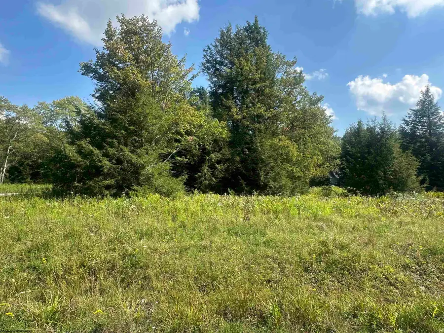 Lot 45 Venice Place, Davis, WV 26260 - #3