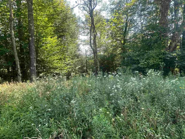 Lot 47 Lira Lane, Davis, WV 26260