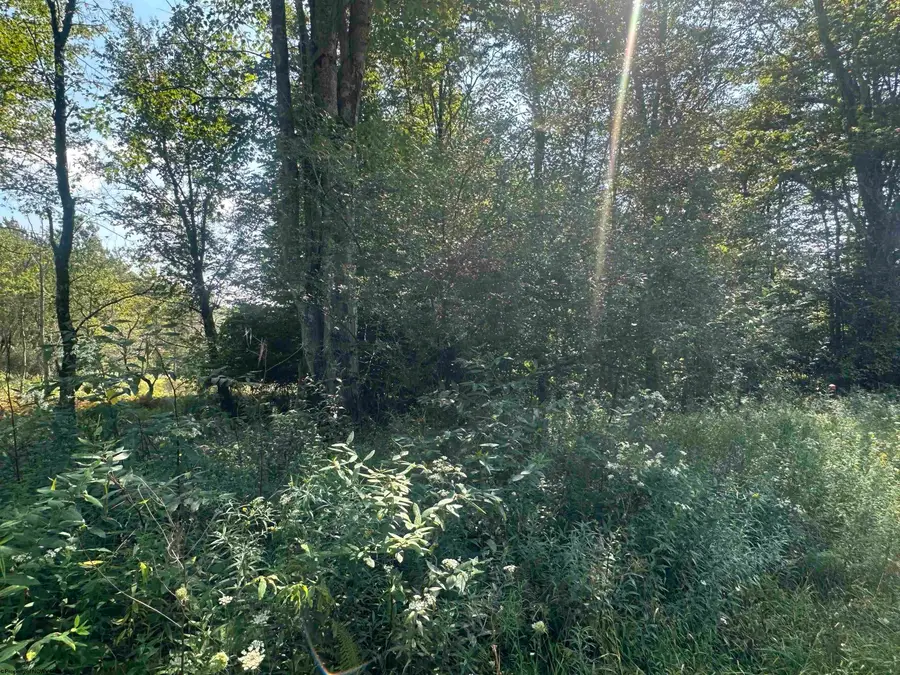 Lot 47 Lira Lane, Davis, WV 26260 - #2