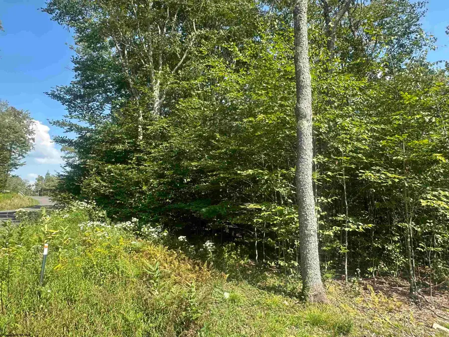 Lot 47 Lira Lane, Davis, WV 26260 - #3