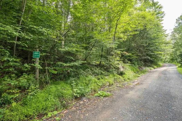 112 Hikers Challenge Road, Davis, WV 26260