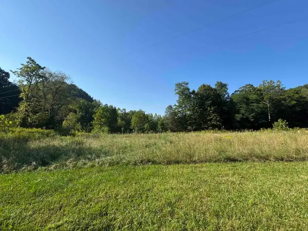 TBD Route 32 (RR), Dryfork, WV 26263