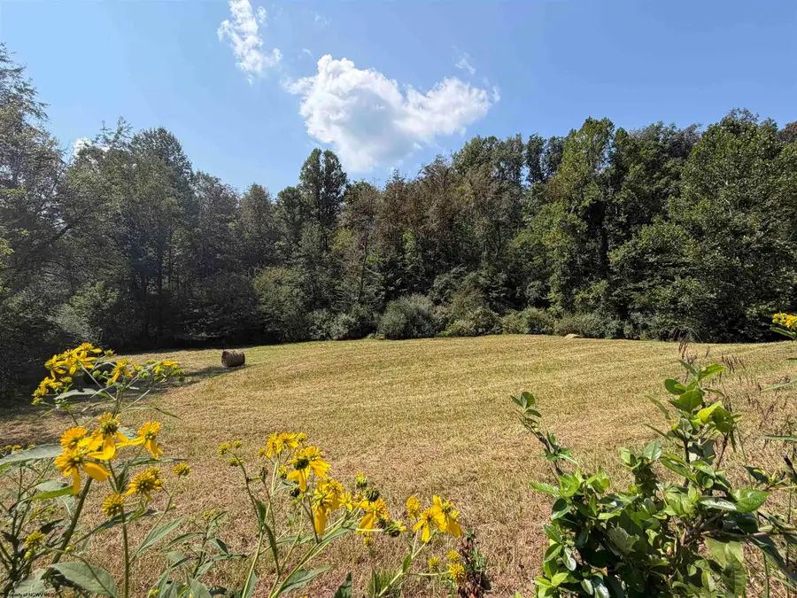 TBD US HIGHWAY 19 South, Walkersville, WV 26447 - #2
