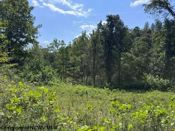 TBD Hagans Road, Rivesville, WV 26588
