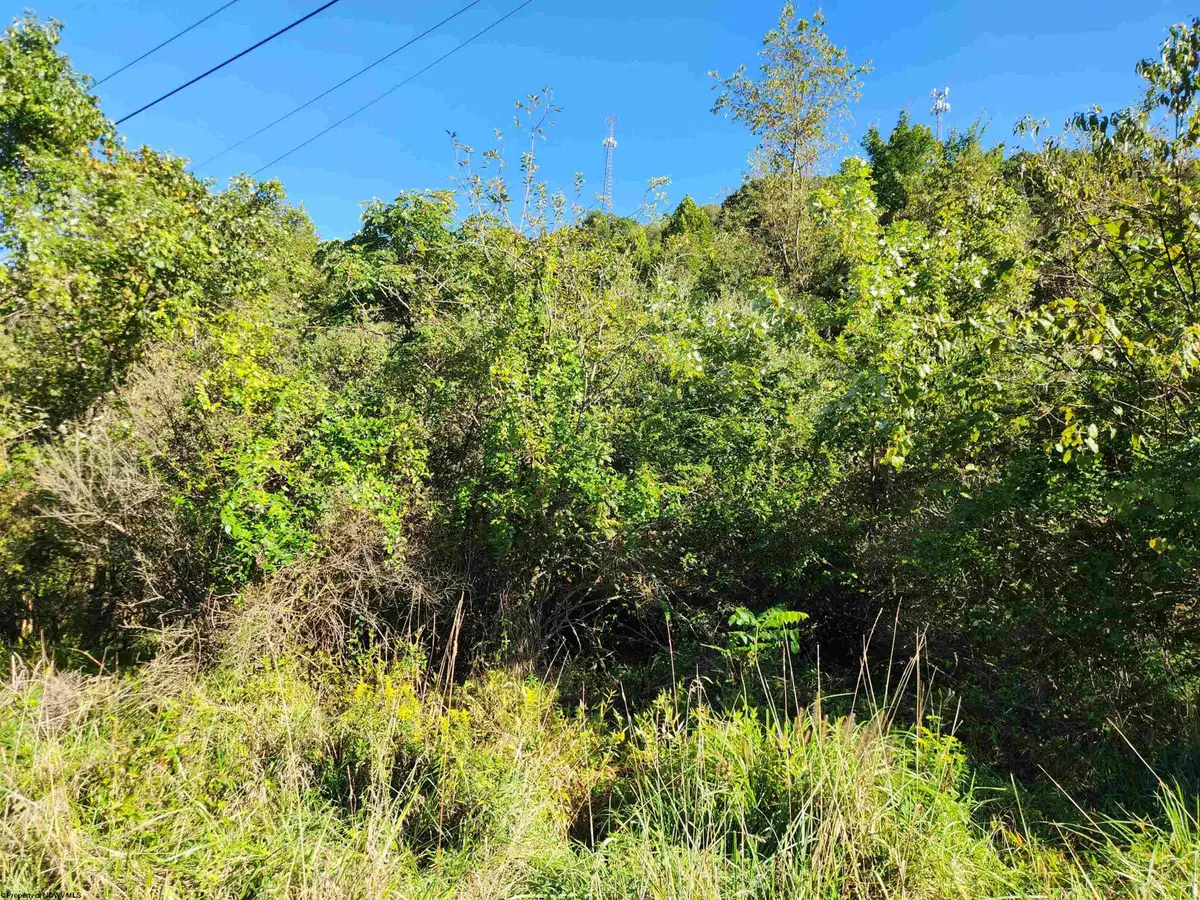 TBD HEAVENER Avenue, Stonewood, WV 26301 - #1