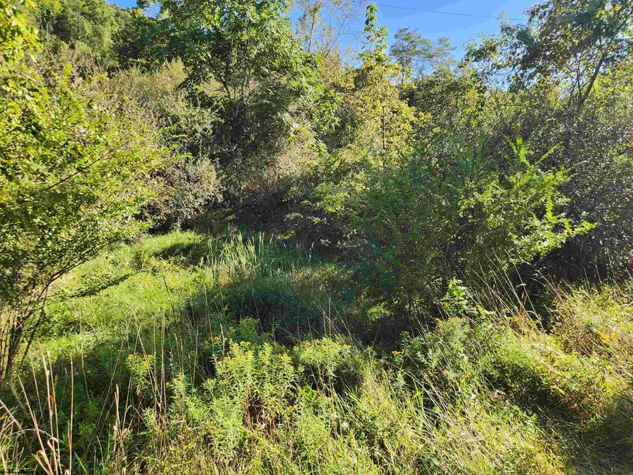 TBD HEAVENER Avenue, Stonewood, WV 26301 - #3