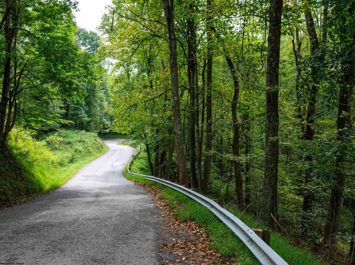 Lot 1 Saltlick Road, Rowlesburg, WV 26425 - #1