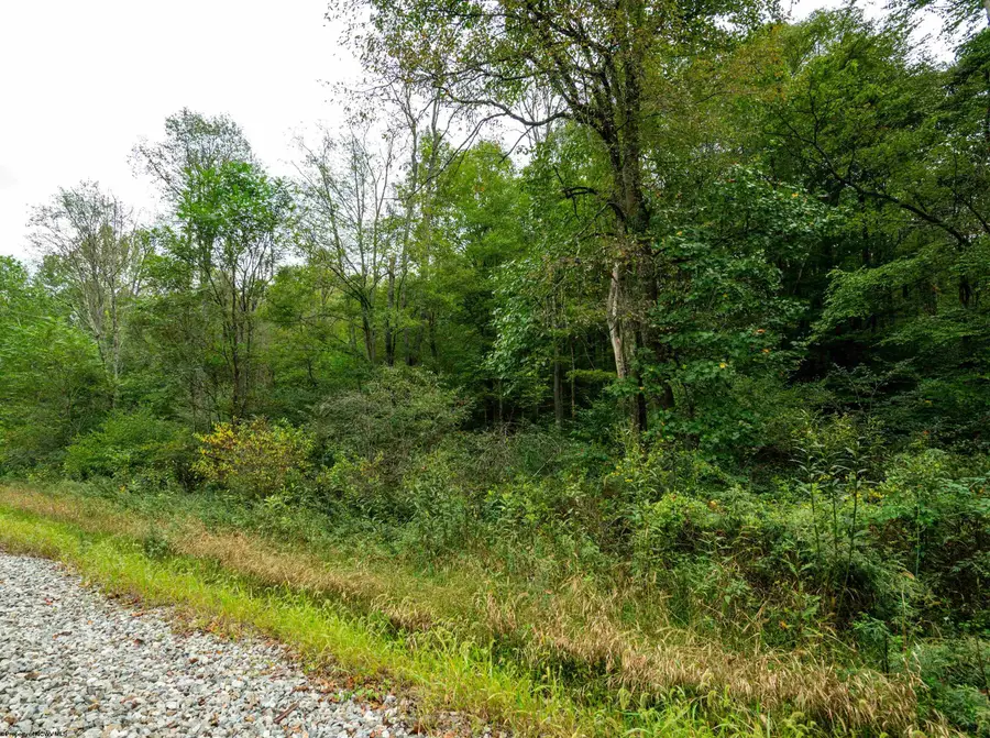 Lot 1 Saltlick Road, Rowlesburg, WV 26425 - #2
