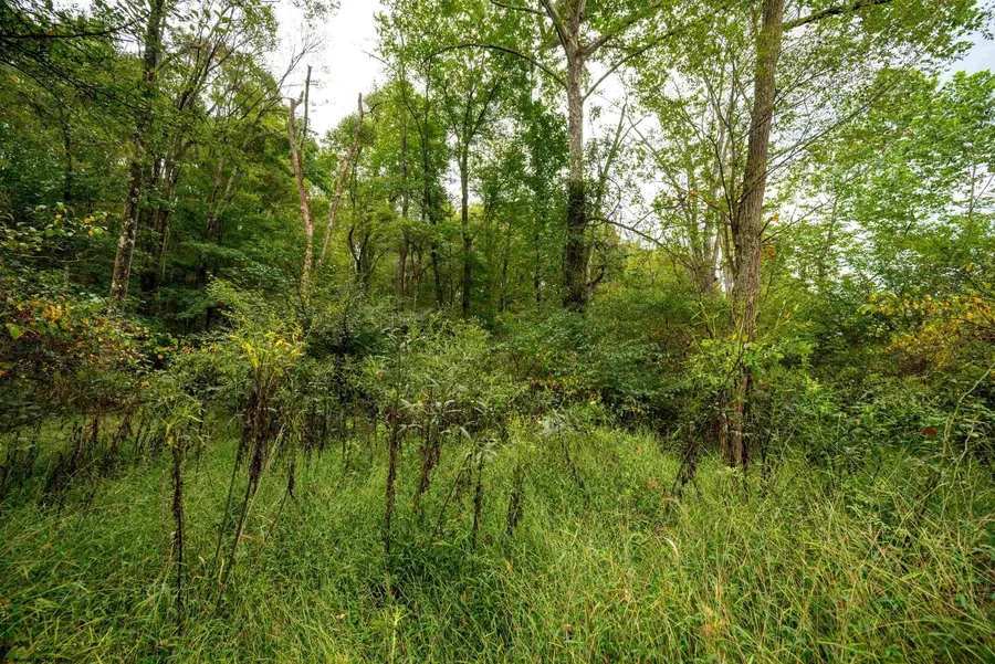 Lot 1 Saltlick Road, Rowlesburg, WV 26425 - #3