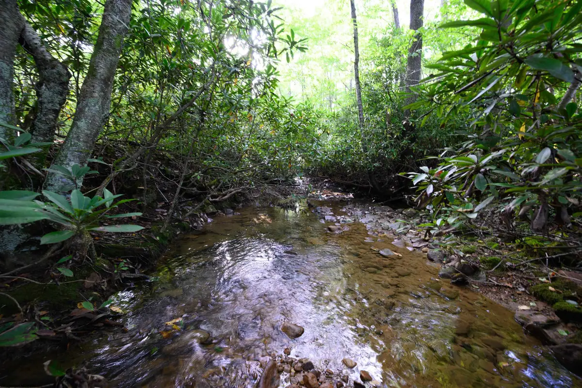 Lot 1 Deep Hollow Drive, Kingwood, WV 26537 - #1
