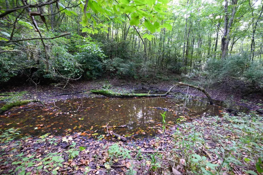 Lot 1 Deep Hollow Drive, Kingwood, WV 26537 - #2