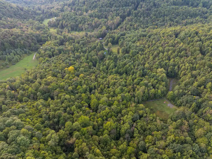 Lot 1 Deep Hollow Drive, Kingwood, WV 26537 - #3