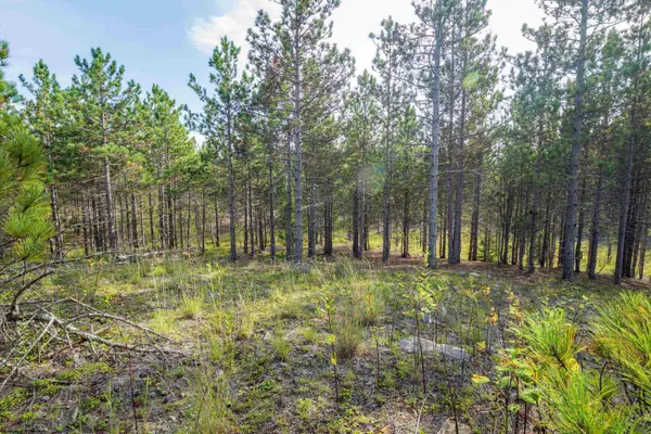 2 Crosscut Way, Davis, WV 26260