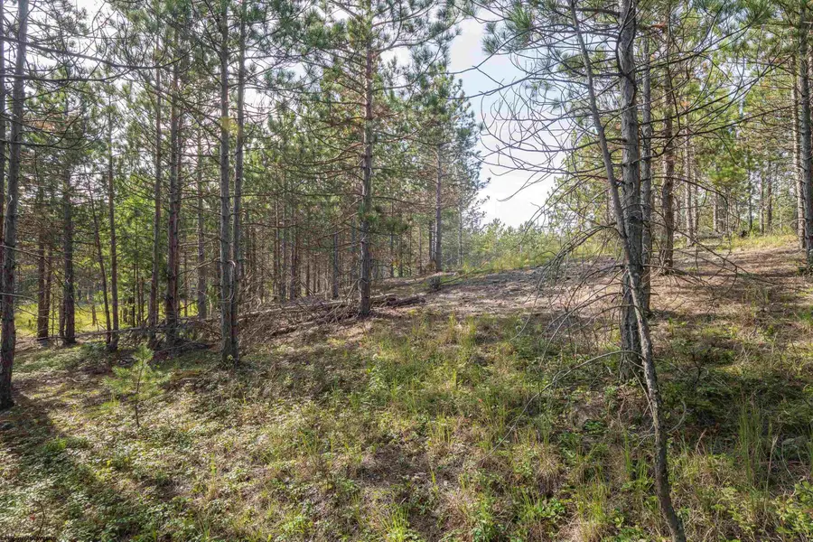 2 Crosscut Way, Davis, WV 26260 - #2