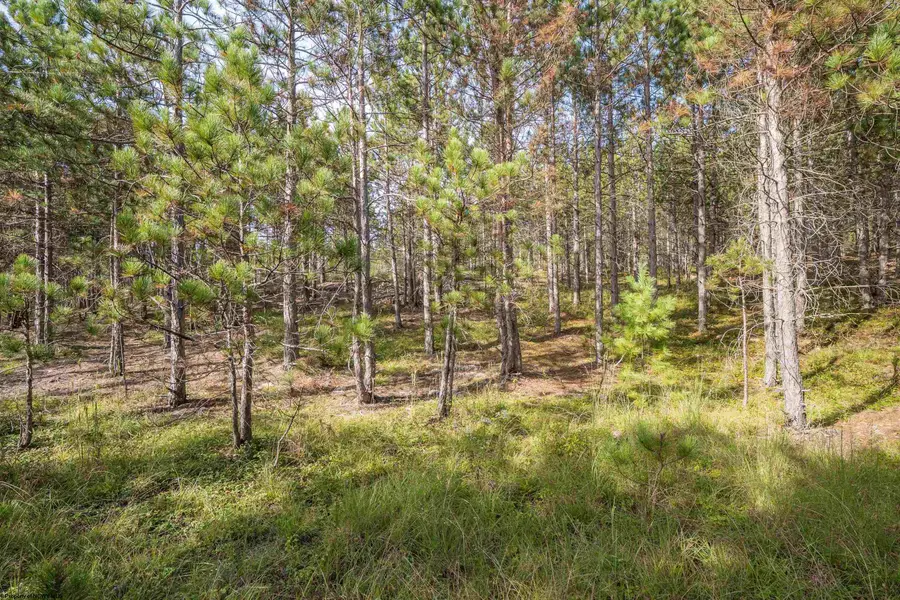 2 Crosscut Way, Davis, WV 26260 - #3