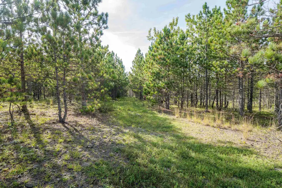 3 Crosscut Way, Davis, WV 26260 - #2