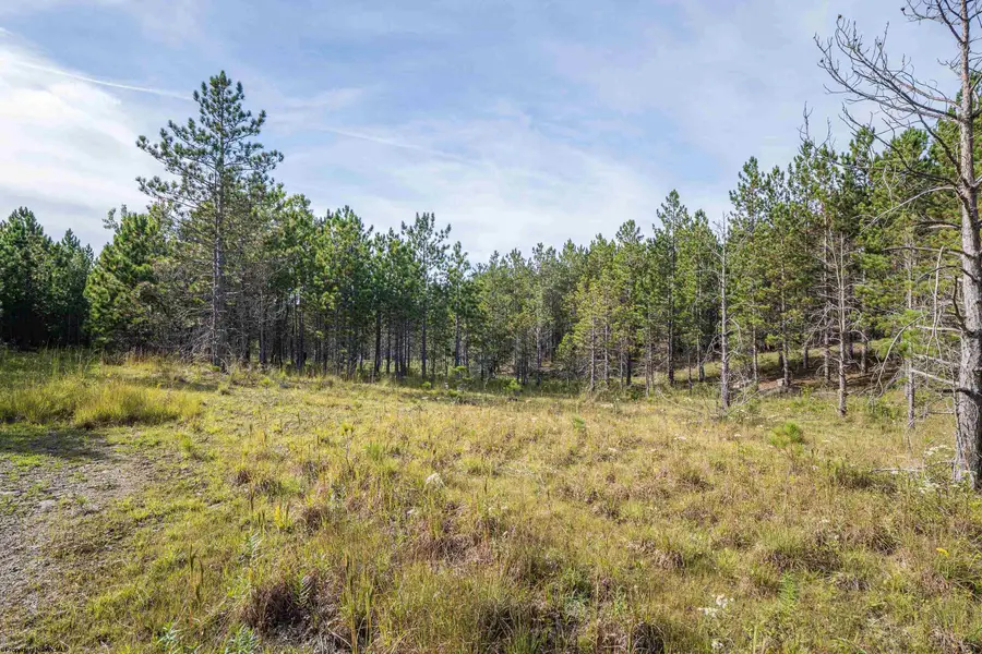 3 Crosscut Way, Davis, WV 26260 - #3