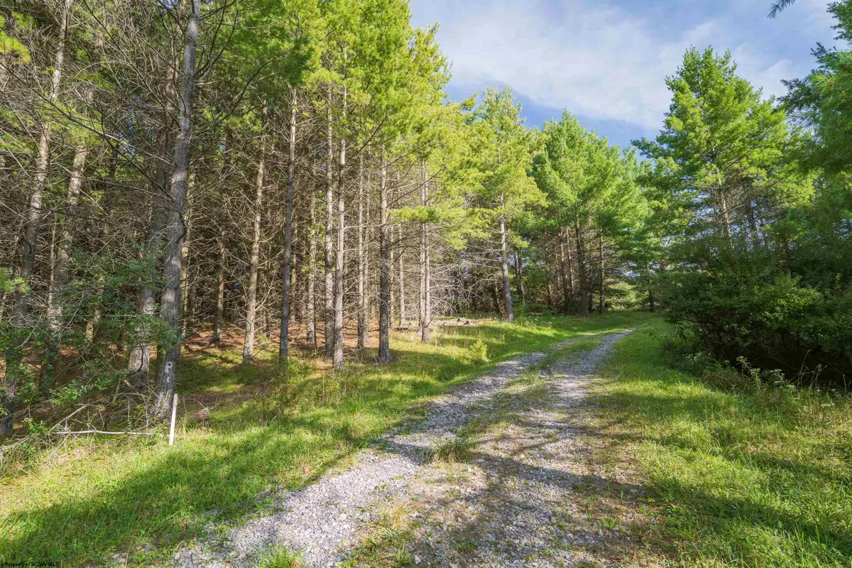 10 Pyrite Lane, Davis, WV 26260 - #1