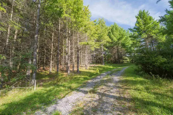 10 Pyrite Lane, Davis, WV 26260
