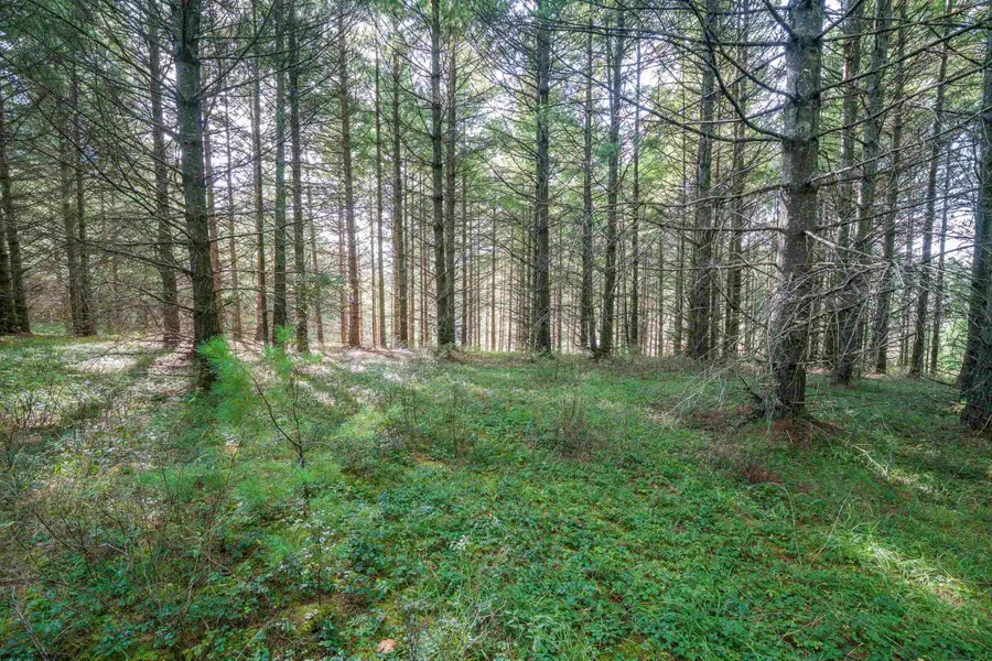 10 Pyrite Lane, Davis, WV 26260 - #2