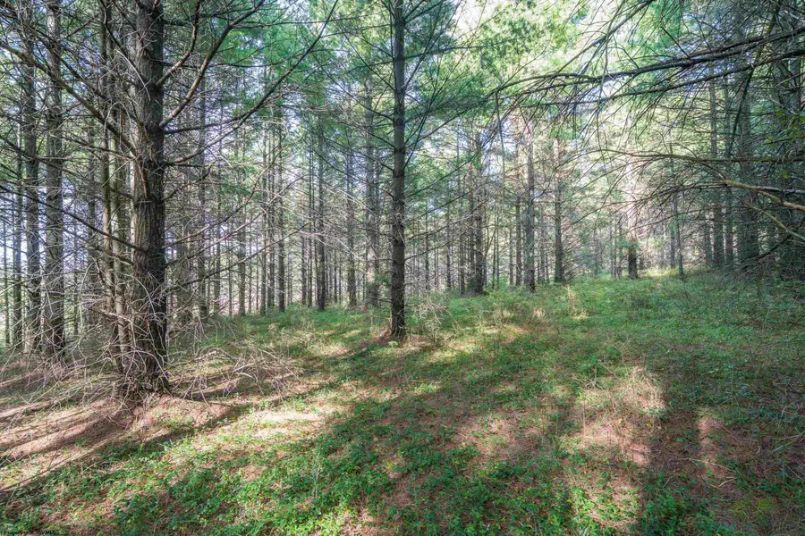 10 Pyrite Lane, Davis, WV 26260 - #3