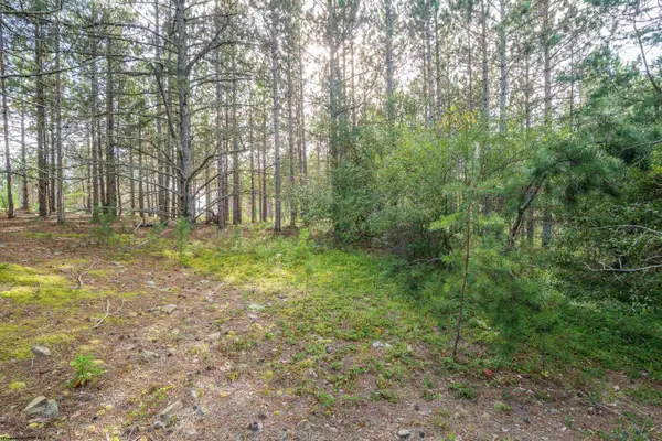 11 & 12 Crosscut Way, Davis, WV 26260