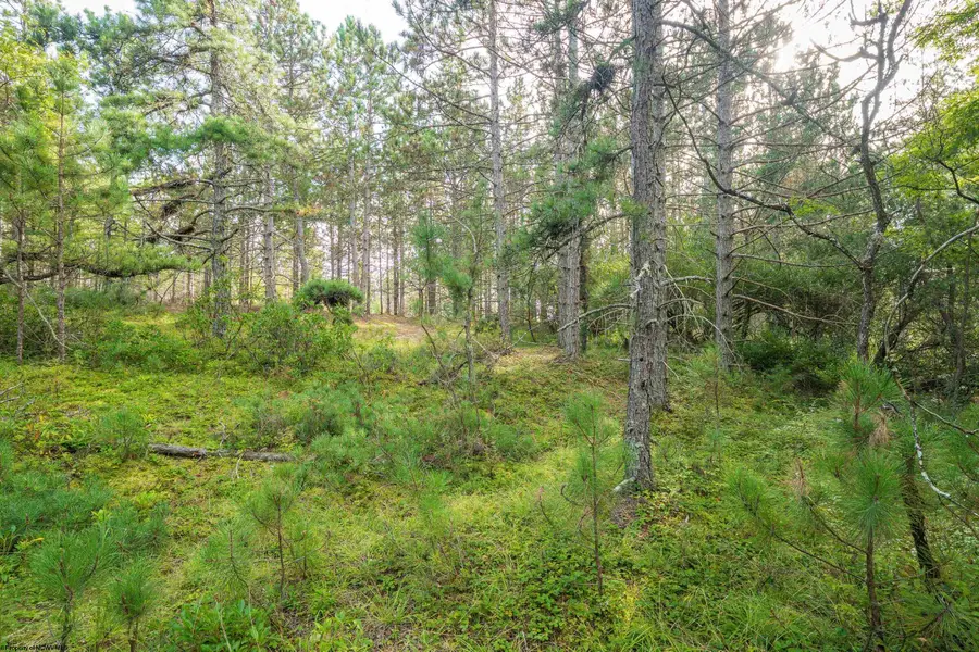 11 & 12 Crosscut Way, Davis, WV 26260 - #2